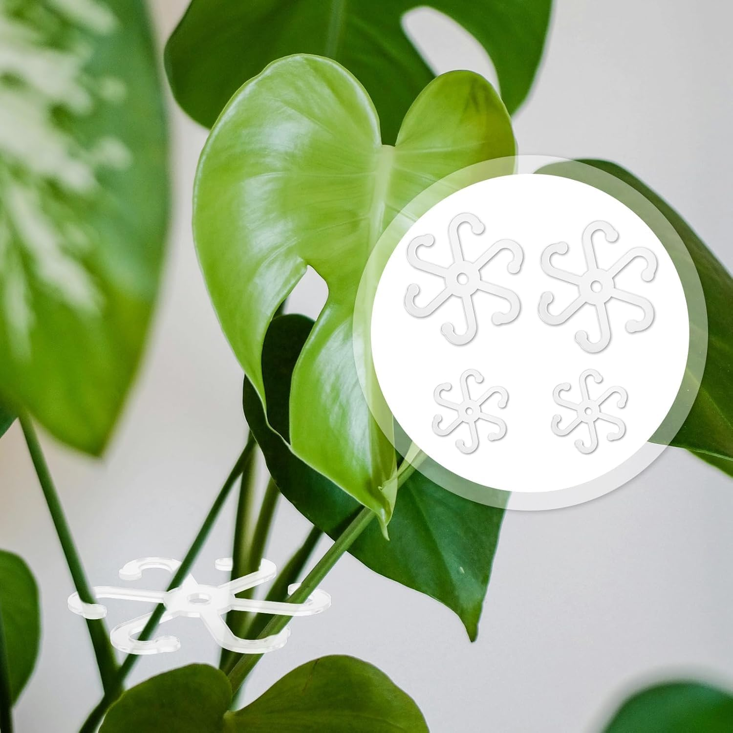 Climbing Houseplant Stem Supports,4Pcs Clear Plastic Flower Plant Growth Stake Trellis,Stem Support Hooks Plant Vine Wall Clip Plant Support Stake (A) image number 4