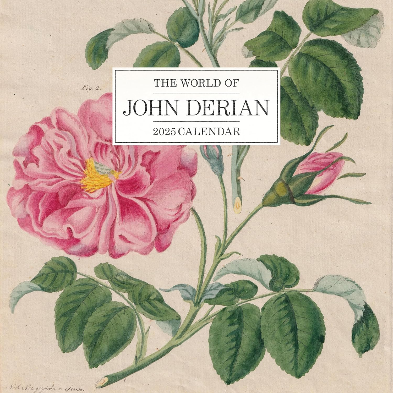 The World of John Derian Wall Calendar 2025 image number 4