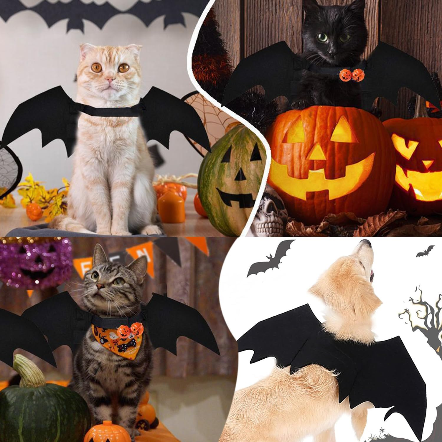 Pet Cat Bat Wings for Halloween Party, Thanksgiving Costume for Cats and Dogs, Puppy Collar Leads Cosplay, Wings for Pet Costume image number 6