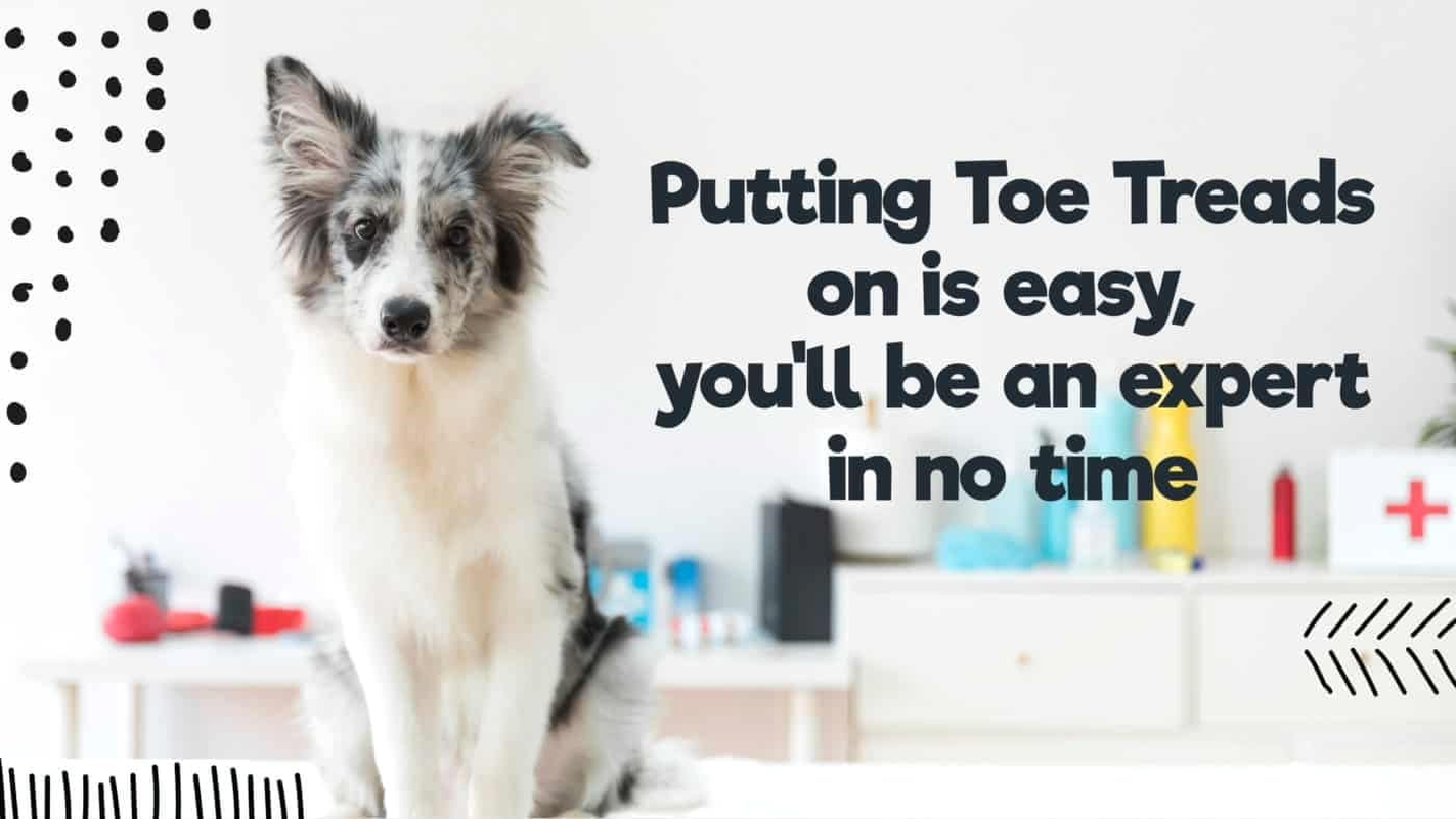 Dr. Mchenry'S Dog Toe Treads, Set of 24, Adhesive, Cleaning Brush, Increased Traction, Dog Mobility Support, X-Large Kit- Weight: 60-150 Lbs. 1.6 Oz. image number 6