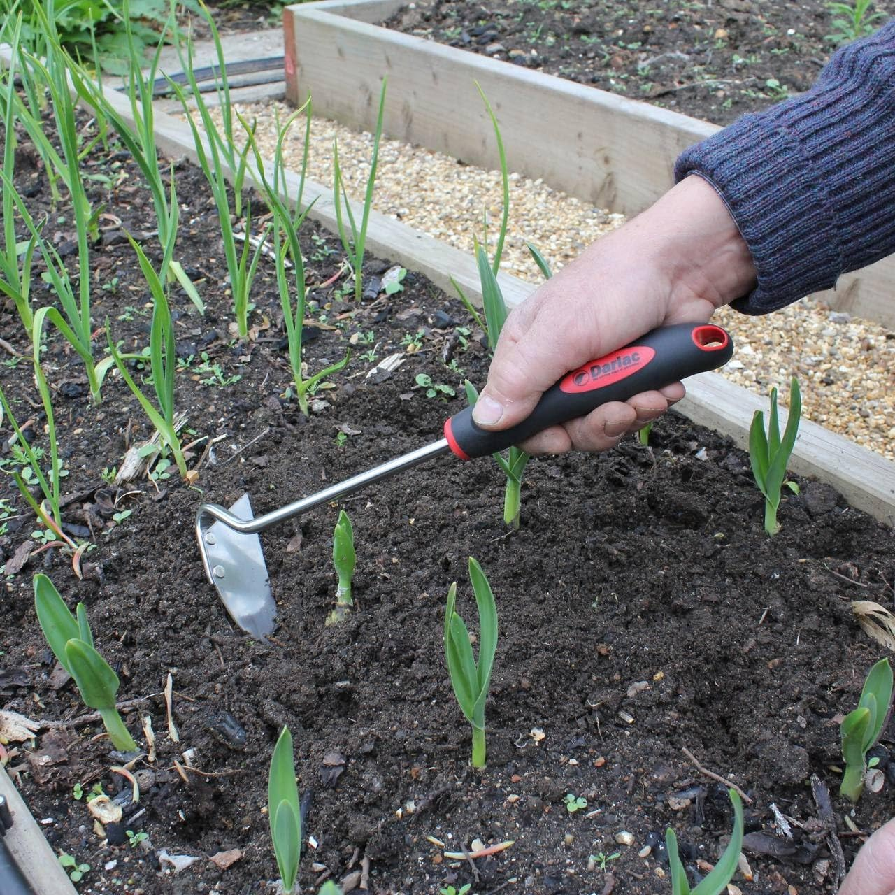 Darlac Tools Stainless Steel Hand Hoe with Ergonomic Rubber Handle - Great for Weeding by Hand - Planter Hoe/Onion Hoe | Premium Gardening Tool by Darlac image number 1