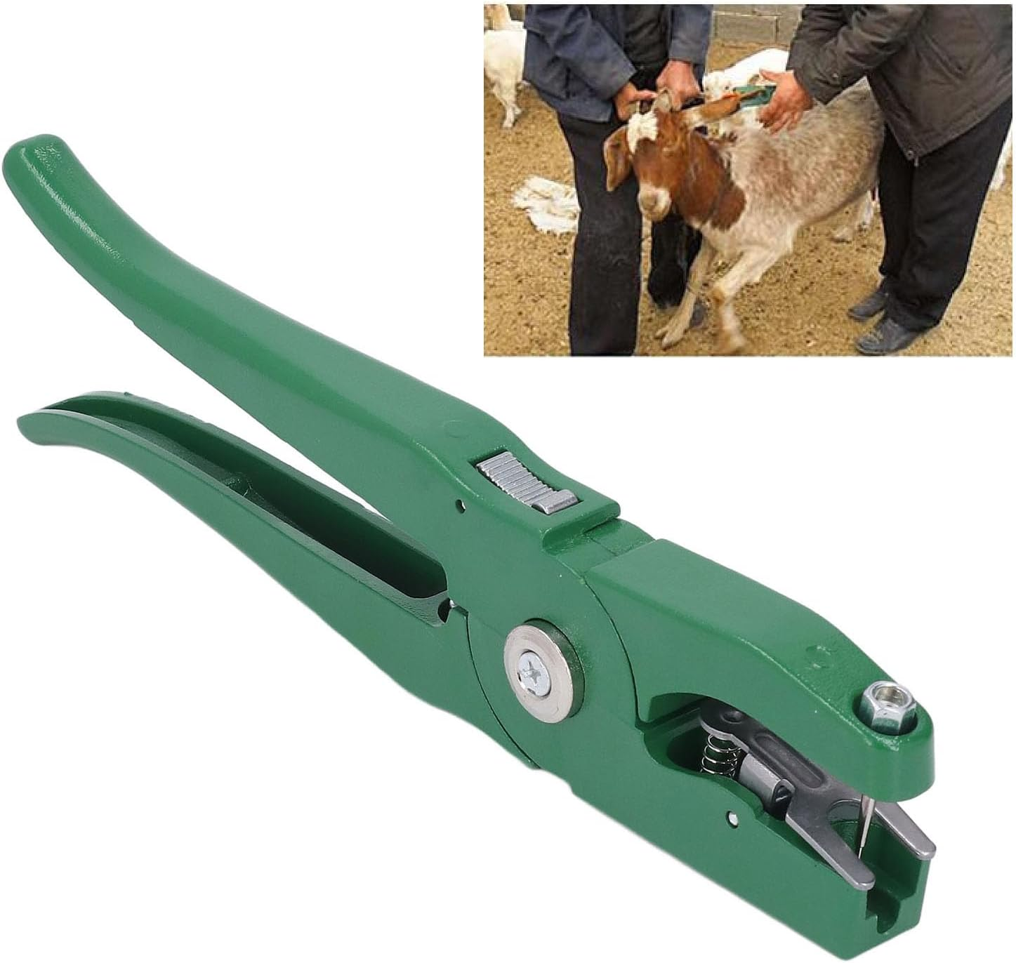 Livestock Ear Tag Applicator Green, Cattle Ear Tagger Vertical Insertion, Automatic Rebound, Ear Tag Animal Tool for Cows Goats Sheep Pigs Animal Identification Earring Tagger image number 1