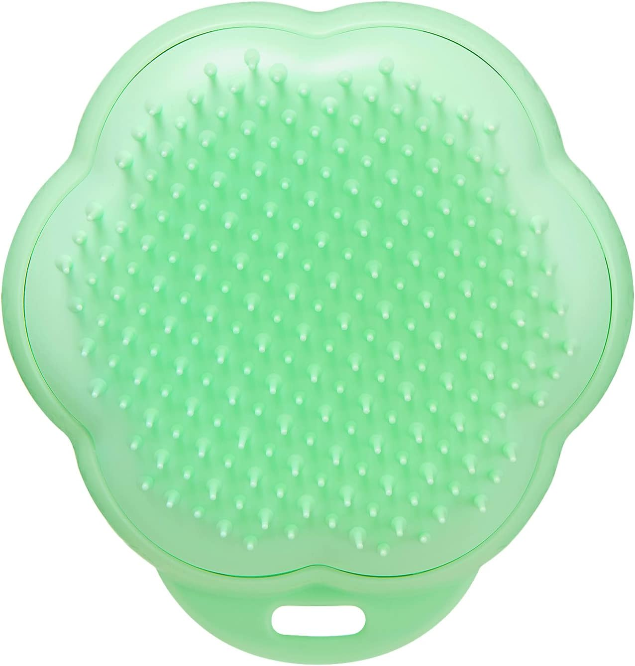 Tangle Teaser Pet Teaser Cat Friendly Mint image number 5