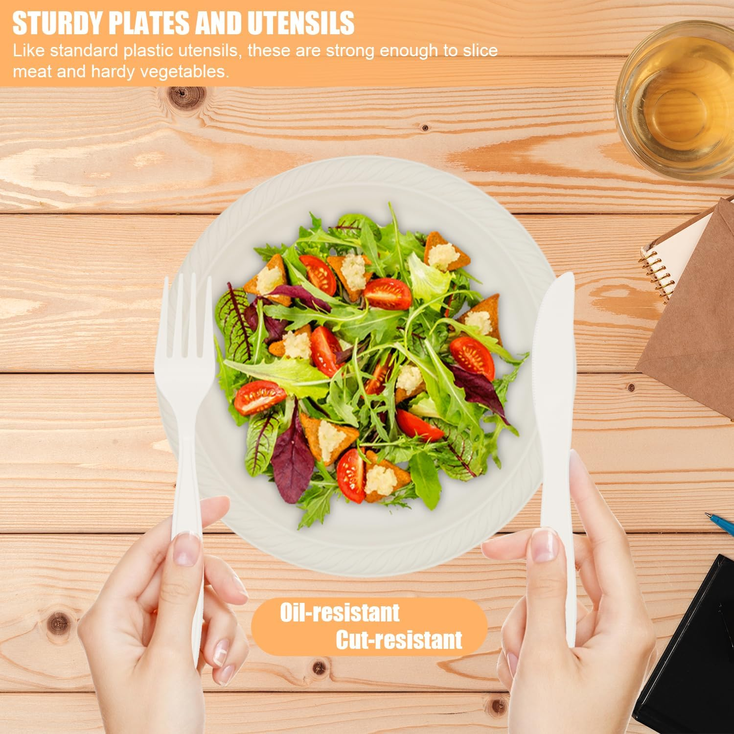 Disposable Plate Sets, 300Pcs Paper Plates Sets for Camping, Dinner Party, Picnic & BBQ, Biodegradable, Eco-Friendly, Compostable, Microwave Safe, Serve for 60 People.