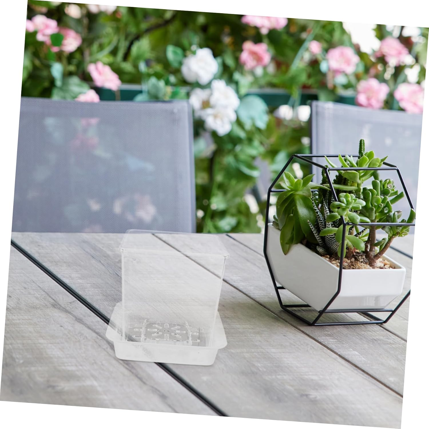 HONMEET Educational Boys and Girls Planters Small Flower Pot Drainage Hydroponic Design Plant Propagation Jars for Indoor Gardening Nursery Pot Saucer image number 5