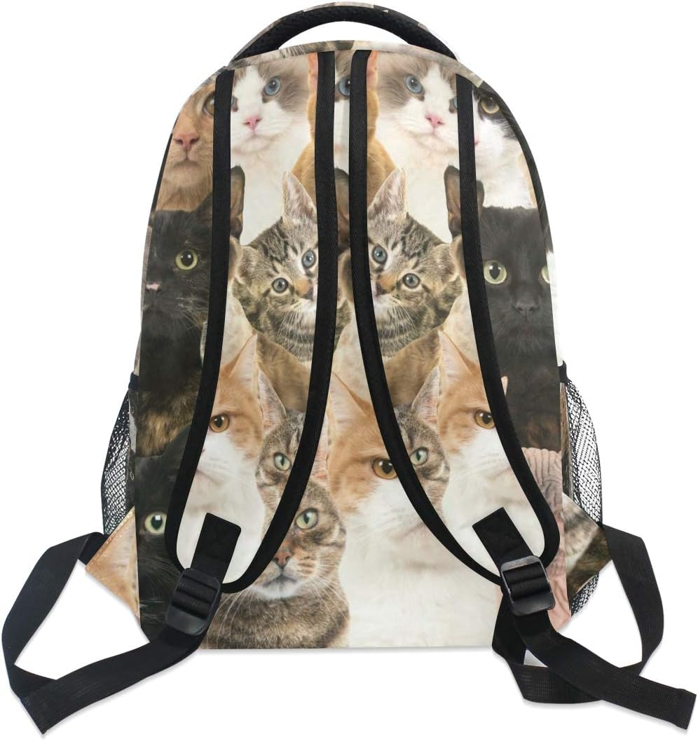 Rootti Backpack Bag Cat Animal Print Daypack Canvas School with Travel Bookbag Backpack for Teen Boys Girls Men and Women, Multi, One Size image number 2