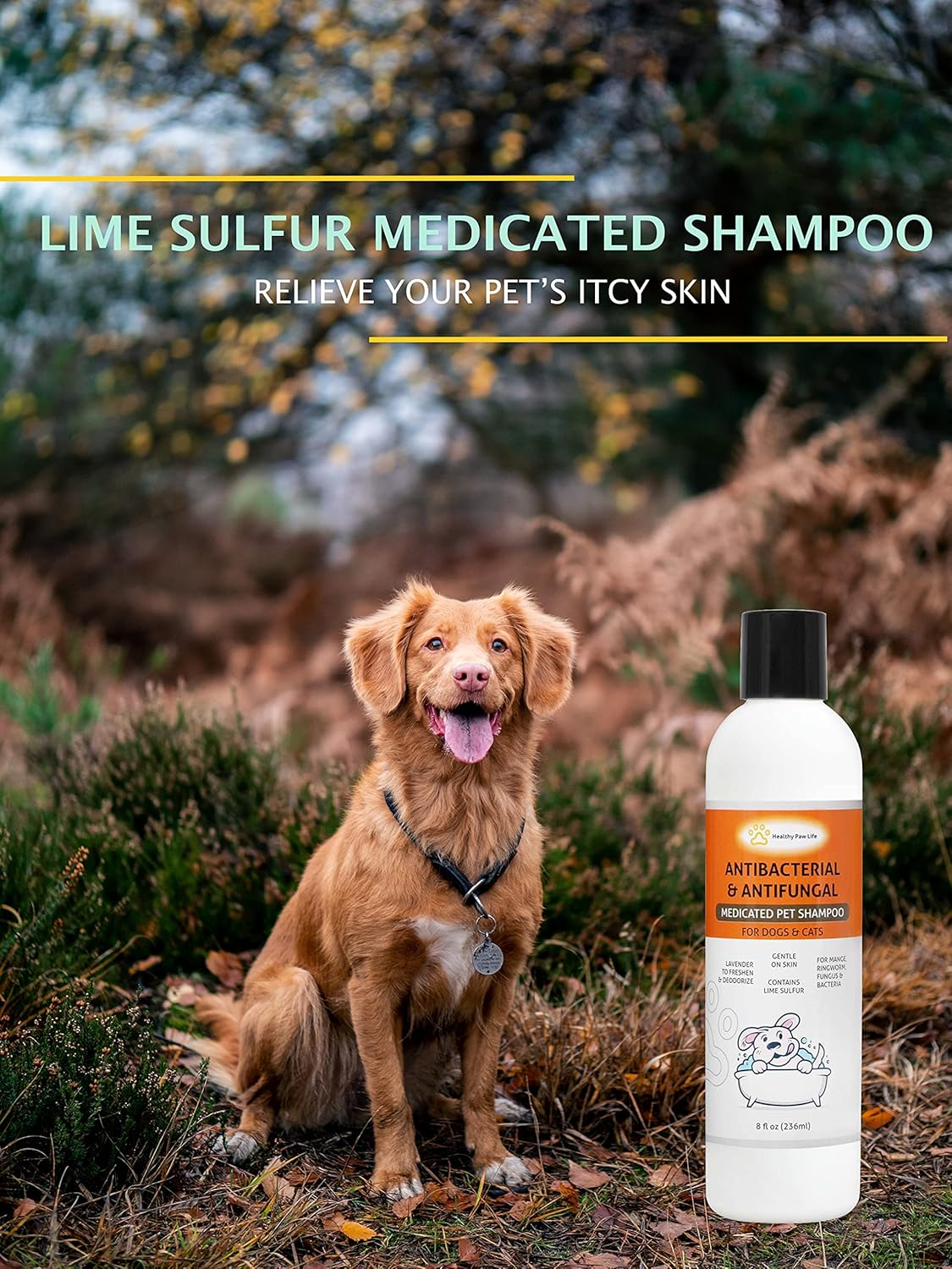 Lime Sulfur Pet Shampoo - Pet Care and Veterinary Solution for Itchy and Dry Skin - Safe for Dog, Cat, Puppy, Kitten, Horse image number 5