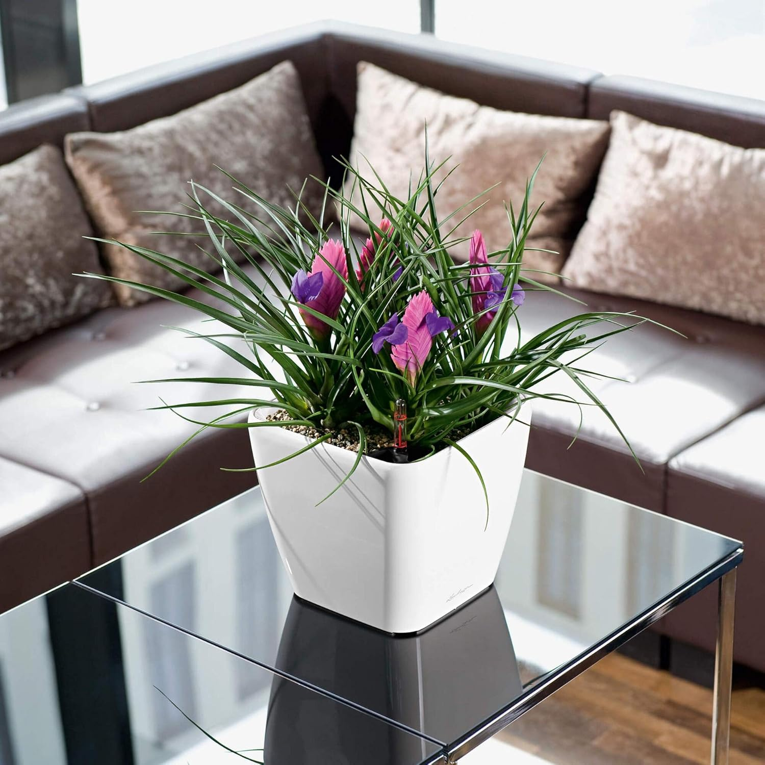 Lechuza Self Watering Plant Pot Quadro LS 21 Garden Flower Indoor and Outdoor Plastic Small Planter with Drainage Hole H20 L21 W21 Cm Black High-Gloss image number 2