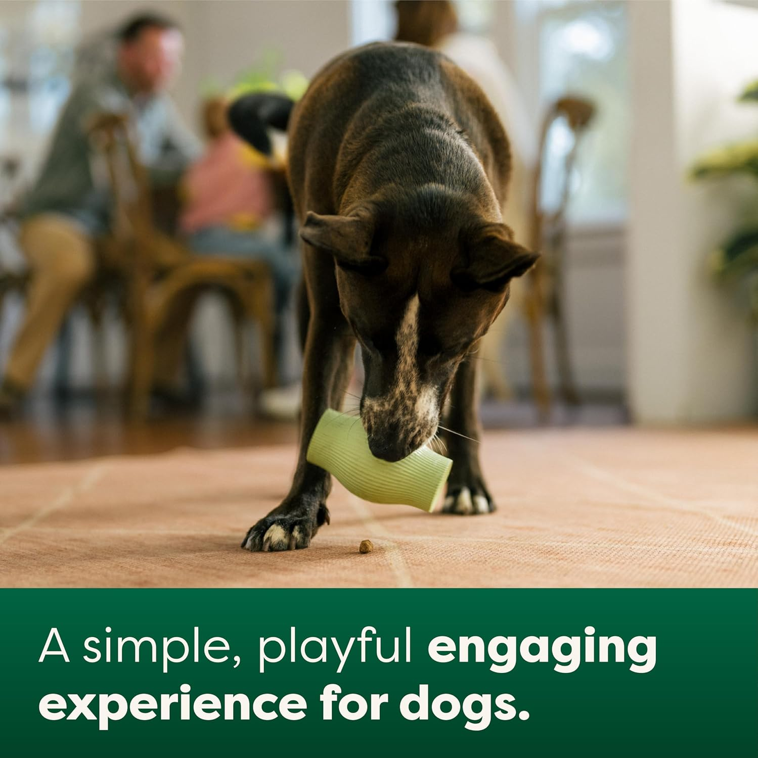 Earth Rated Treat Dispensing Dog Toys, Enrichment Toy for Adult and Puppy Dogs, Slow Feeder, Dishwasher and Freezer-Safe, Natural Rubber, Large, Green image number 5