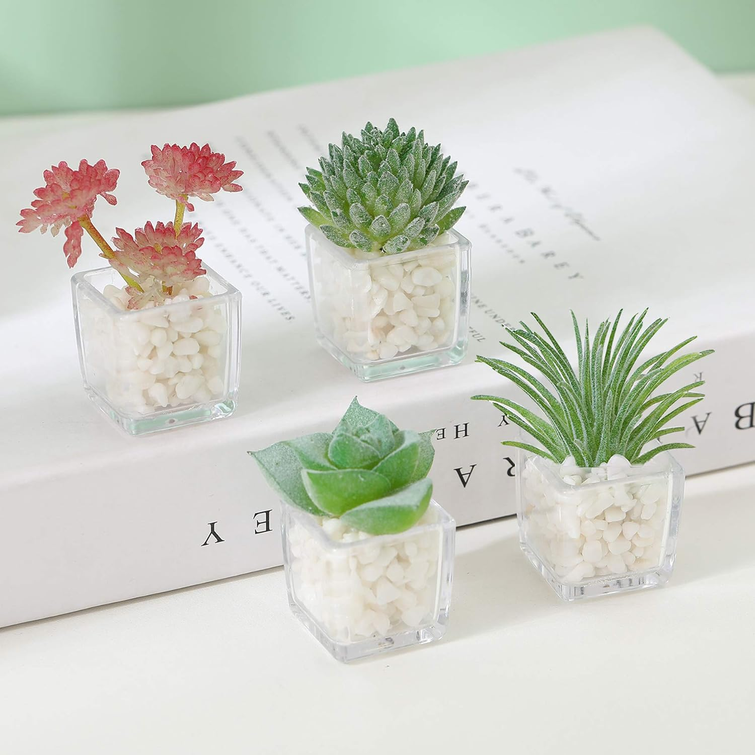 Cute Succulent Refrigerator Magnets Plants Fridge Magnets,Mini Artificial Magnets for Refrigerator Set of 4,Decoration Kitchen,Whiteboard,Office,House - Succulent image number 4