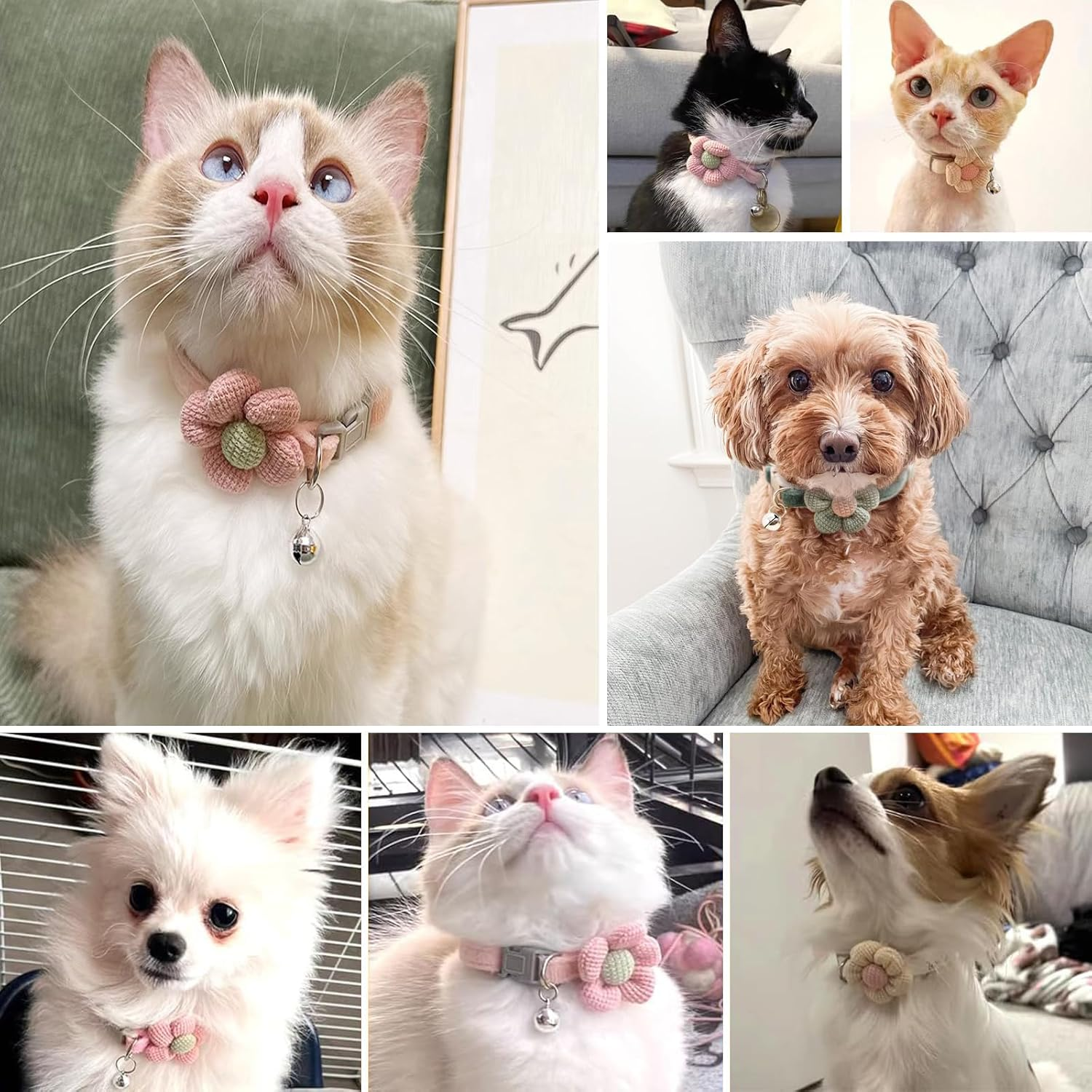 Ruzister 3 Pack Cat Collars with Flowers - Cat Collars with Bell, Adjustable Flower Bow Tie Collars for Boys and Girls, Cute Collar Accessories image number 1