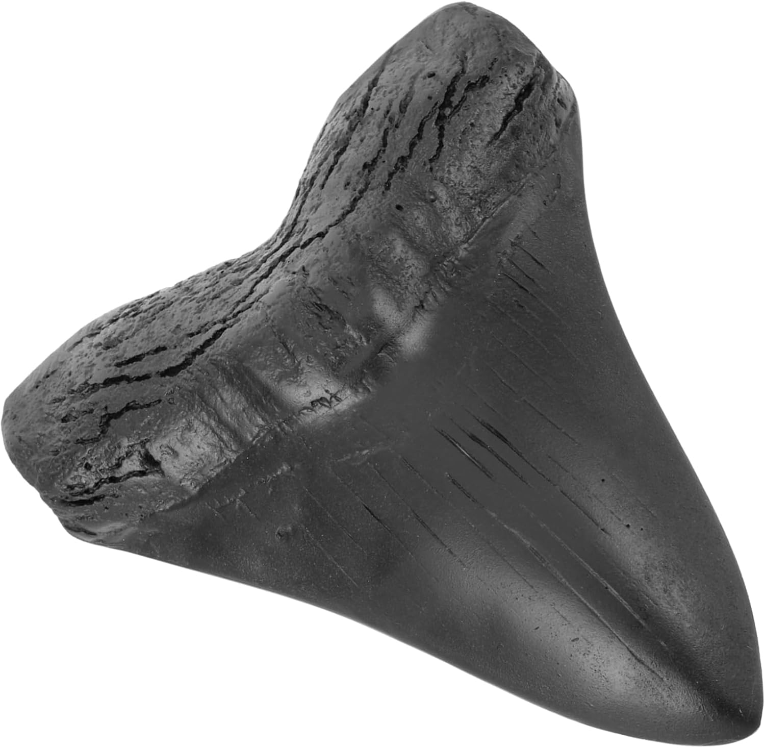 STOBAZA Megalodon Teeth Realistic Giant Shark Tooth Model Resin Collectible for Home Office Paleontological Decor 5.31X4.53X0.79In image number 5