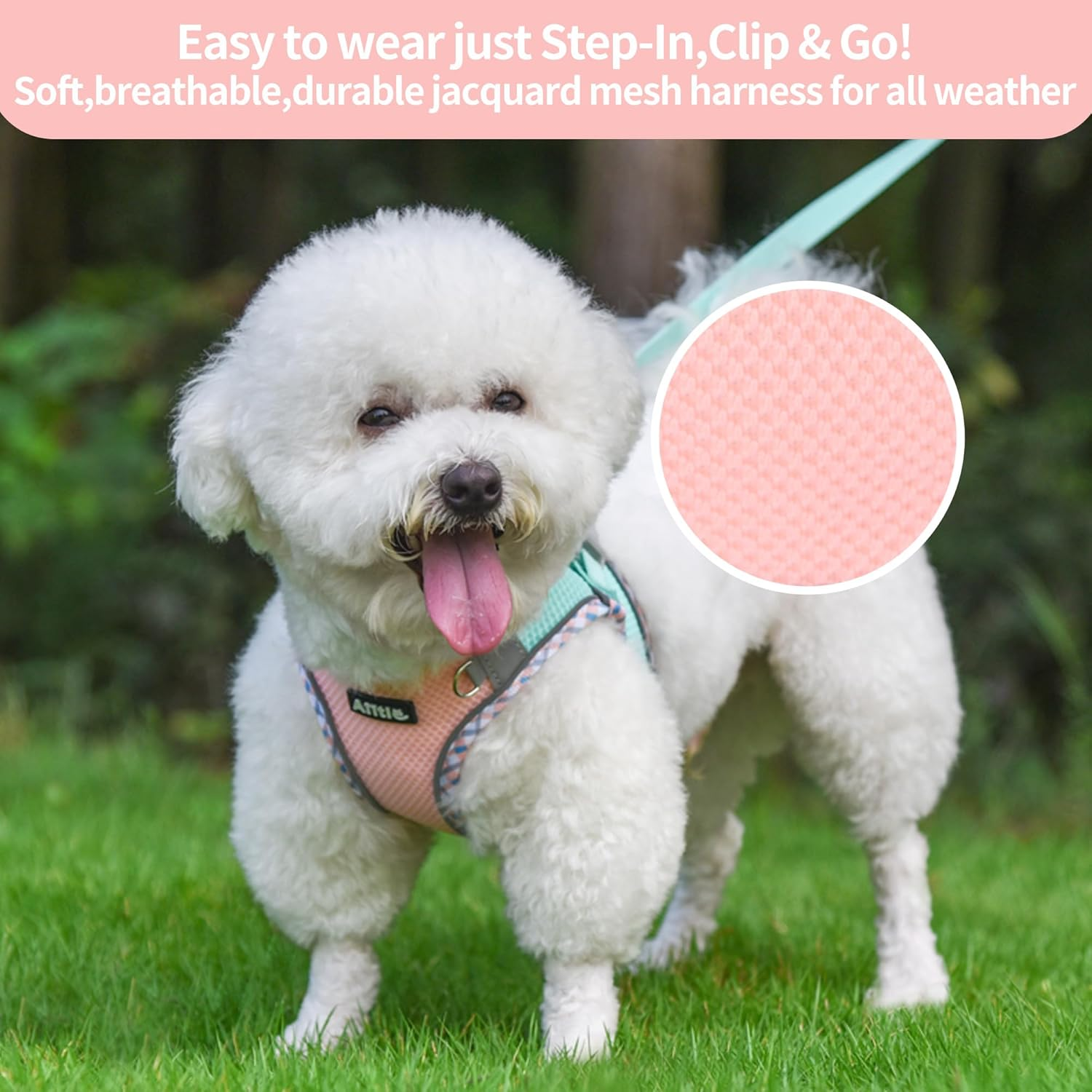 AIITLE Tiny Dog Harness - Lightweight Mesh Step-In Vest for Puppy, Reflective & Escape-Proof Design with High-Stick Magic Tape - Outdoor Use for Chihuahua, Maltese, Shih Tzu(Turquoise-Pink, XXXS) image number 5