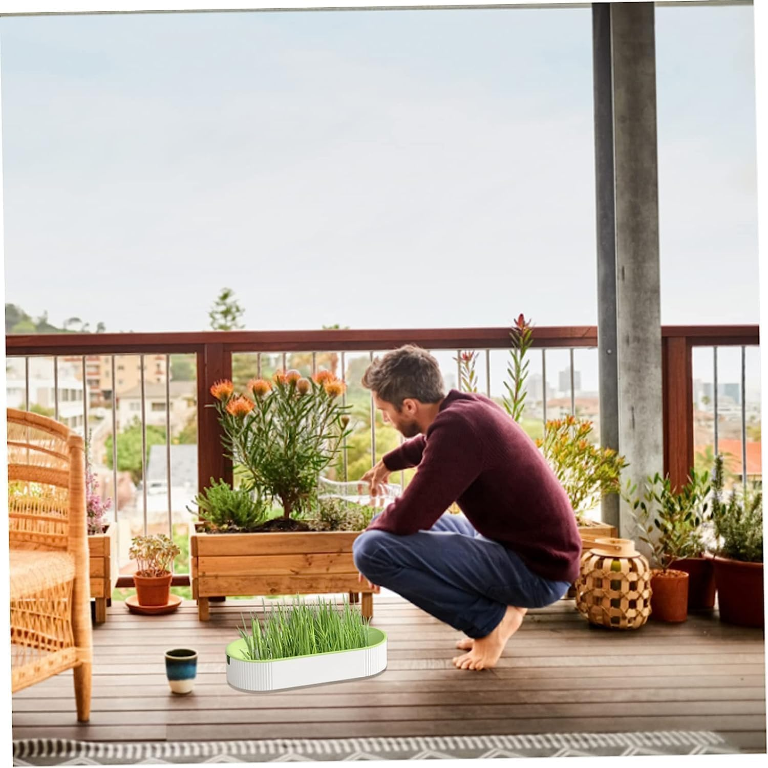 3 Pcs Hydroponic Cat Grass Planter, Seed Sprouter Tray Soil-Free Big Capacity Healthy Wheatgrass Grower Sprouting Container Kit for Kitten - Extra 15 Packs of Seeds