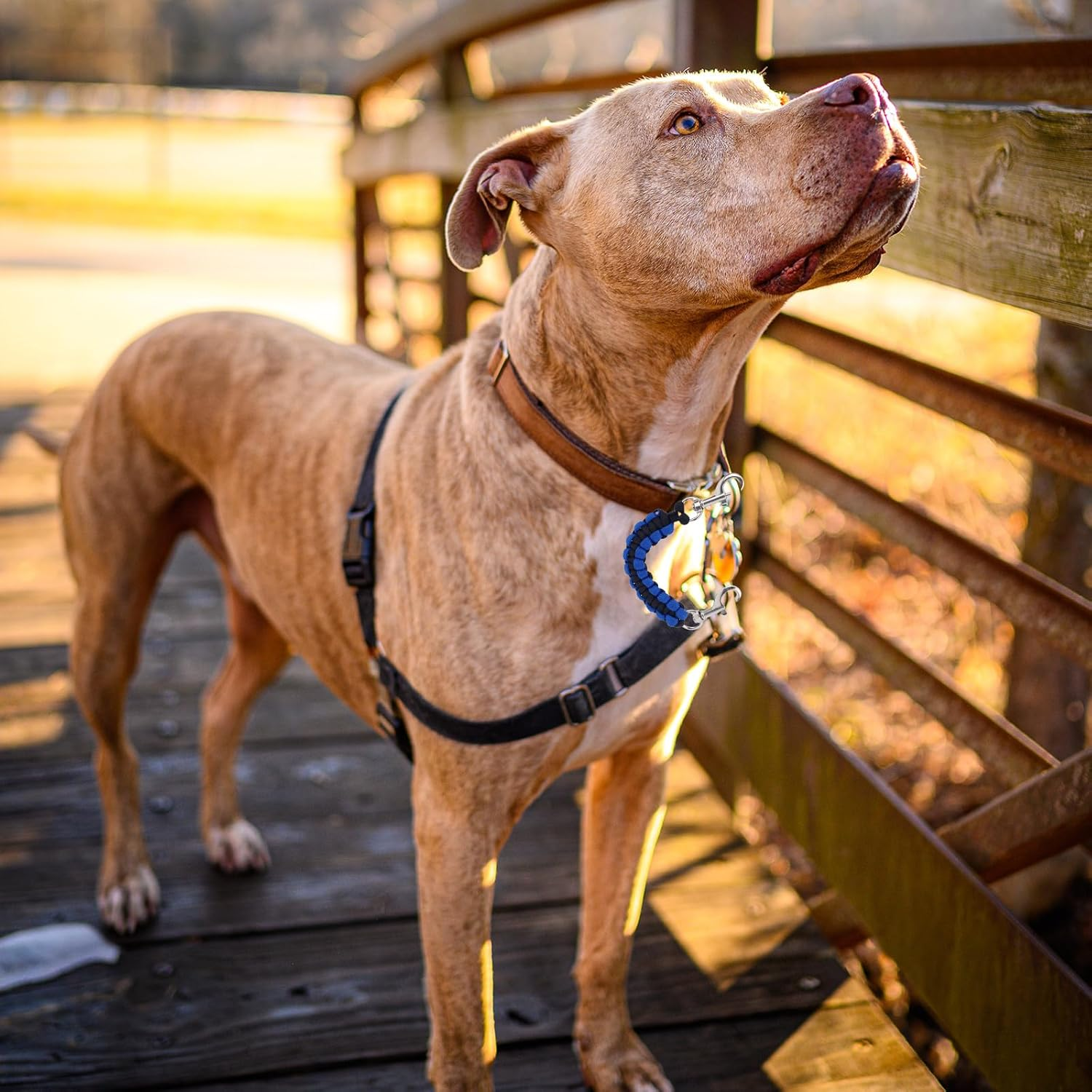 2Pcs Dog Prong Collar Safety Clip, 17.5Cm/6.89In 360&deg; Rotating Dog Collar Strap Pet Leash Extender for Harness Connector Double Clip Pet Essentials for Walking Running Hiking image number 4