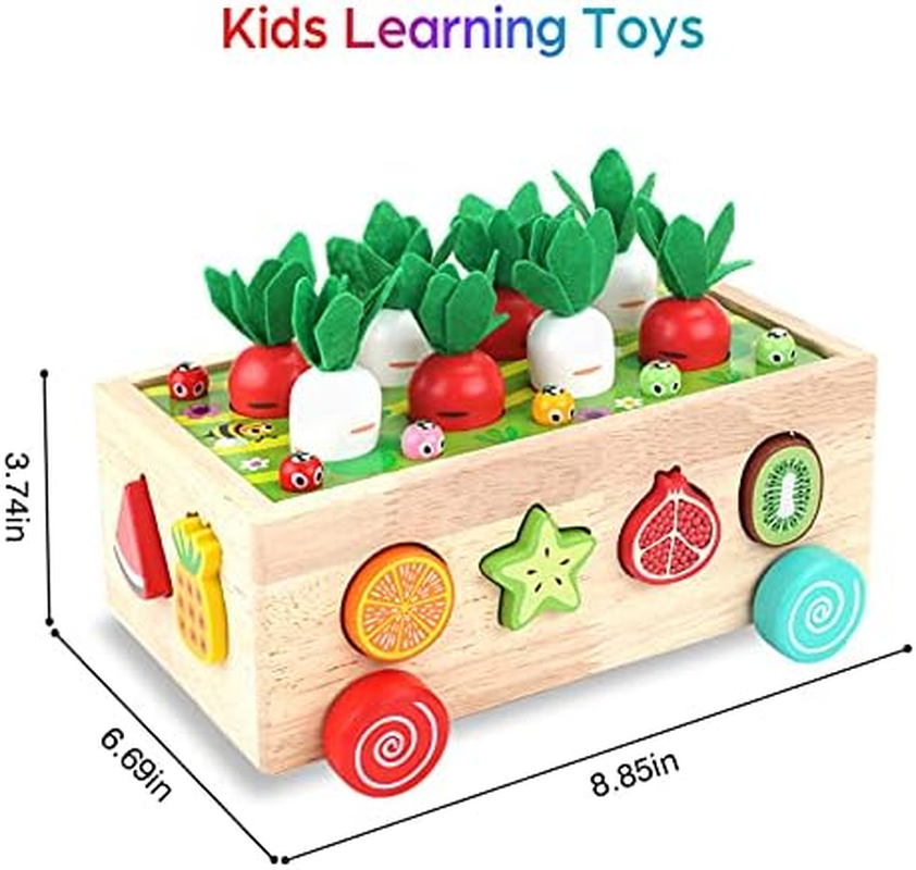 Toddlers Montessori Wooden Educational Toys for Baby Boys Girls Age 2 3 4 Year Old, Shape Sorting Toys Gifts for Kids 2-4, Wood Preschool Learning Fine Motor Skills Game