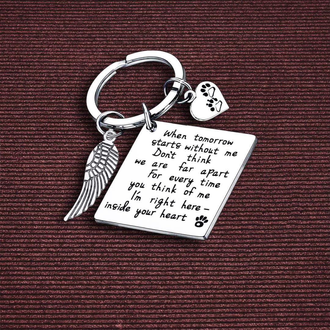 Memorial Keychain with Paw Charm, Keyring for Pets with Paw Prints, Pet Memorial Key Chain, Cat Paw for Car Keys, House Keys, Stainless Steel