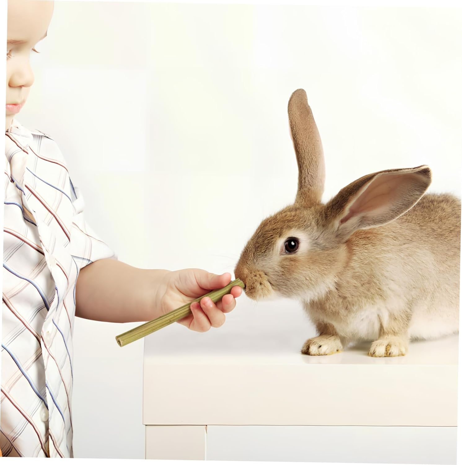 Toddmomy 55Pcs Bunny Chew Sticks Variety Pack 15 Natural Bamboo 20 Papaya Stem 20 Sticks Small PET Chew Toys for Rabbits Hamsters Chinchillas Guinea Pigs Wood Chewing for Tooth Grinding