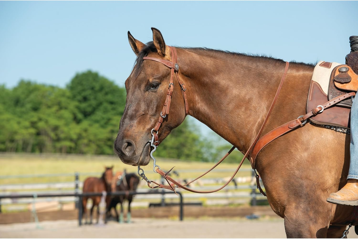 Weaver Leather Stacy Westfall Protack Oiled Browband Headstall, Brown image number 1