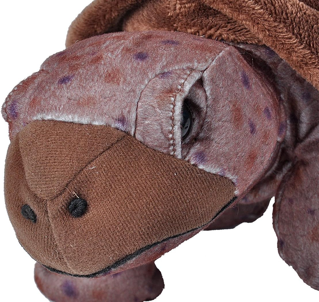 Wild Republic Tortoise Plush, Stuffed Animal, Plush Toy, Gifts for Kids, Cuddlekins 12 Inches