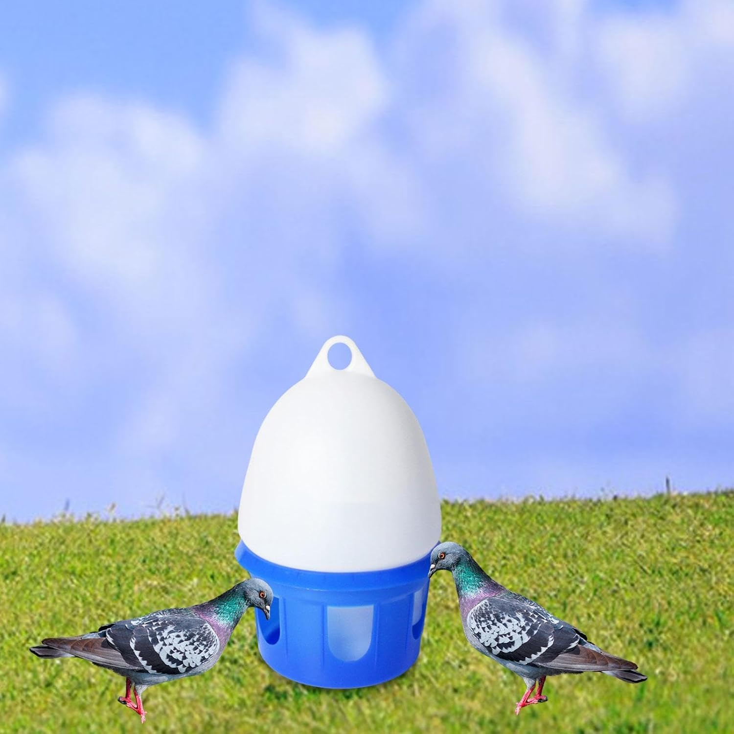 Yuksok Pigeon Drinker Pigeon Water Dispenser Automatic Container Pet Birds Waterer Bird Water Drinker for Chick Pigeons Budgies Farm, 10L image number 1