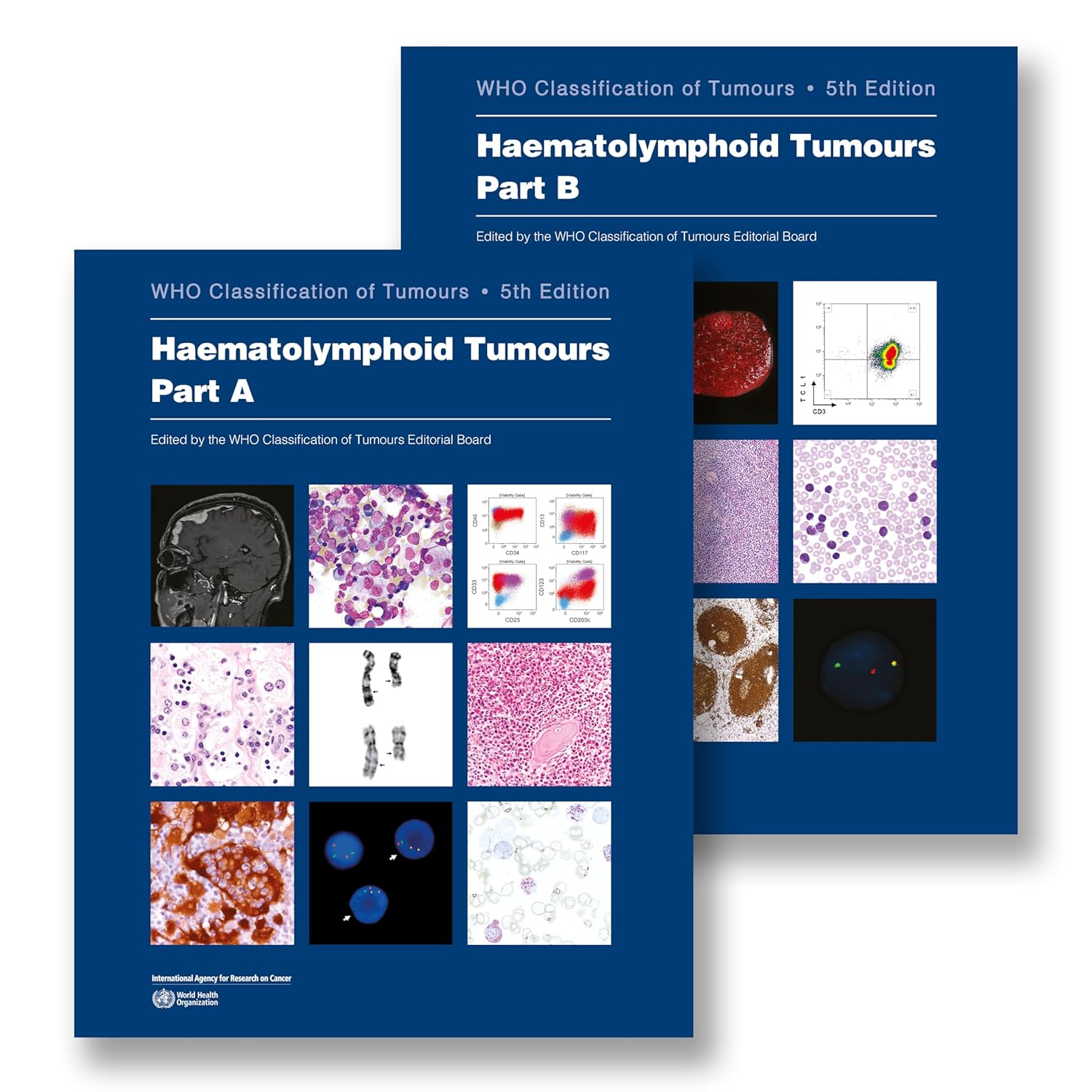 Haematolymphoid Tumours: Who Classification of Tumours