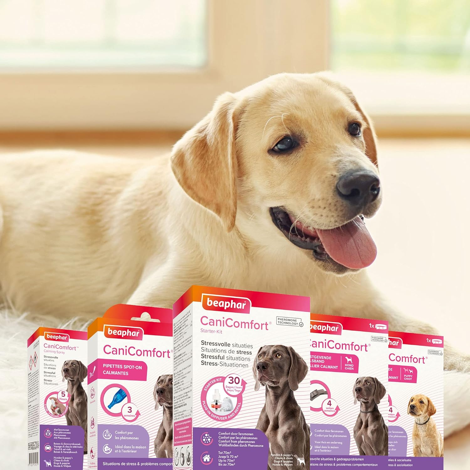 Beaphar Canicomfort Pheromone Calming Collar for Dogs 45 Cm image number 3