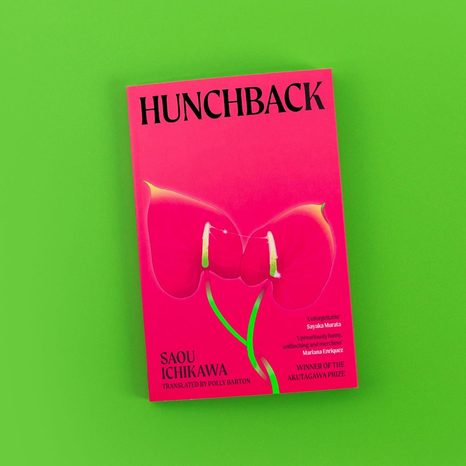 Hunchback: Longlisted for the International Booker Prize 2025 image number 4