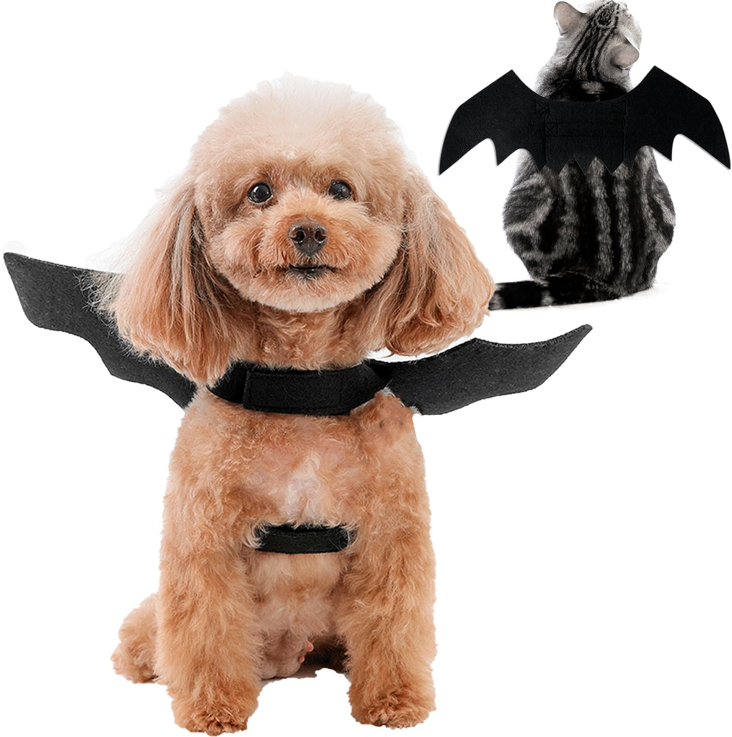 Pet Cat Bat Wings for Halloween Party, Thanksgiving Costume for Cats and Dogs, Puppy Collar Leads Cosplay, Wings for Pet Costume image number 2
