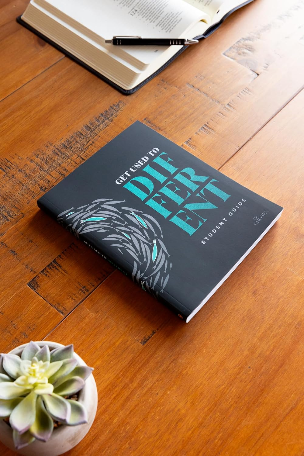 Get Used to Different