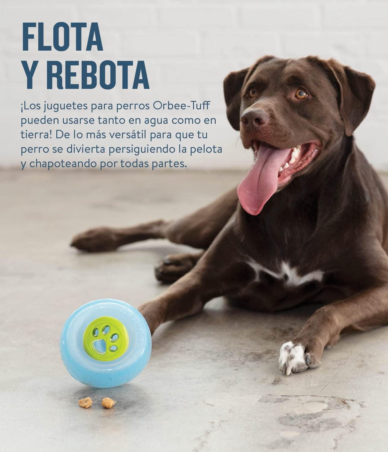 Planet Dog Orbee-Tuff Paw Print Nooks, Interactive Durable Dog Puzzle Toy, Made in the USA, 2.5-Inch, Green image number 4