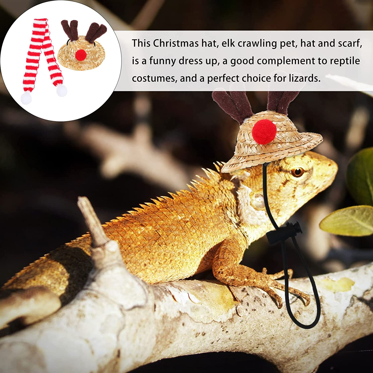 POPETPOP Bearded Dragon Santa Hat for Lizard with Scarf Christmas Costume Clothing Set Xmas Clothes Outfit Holiday Party Photos image number 6