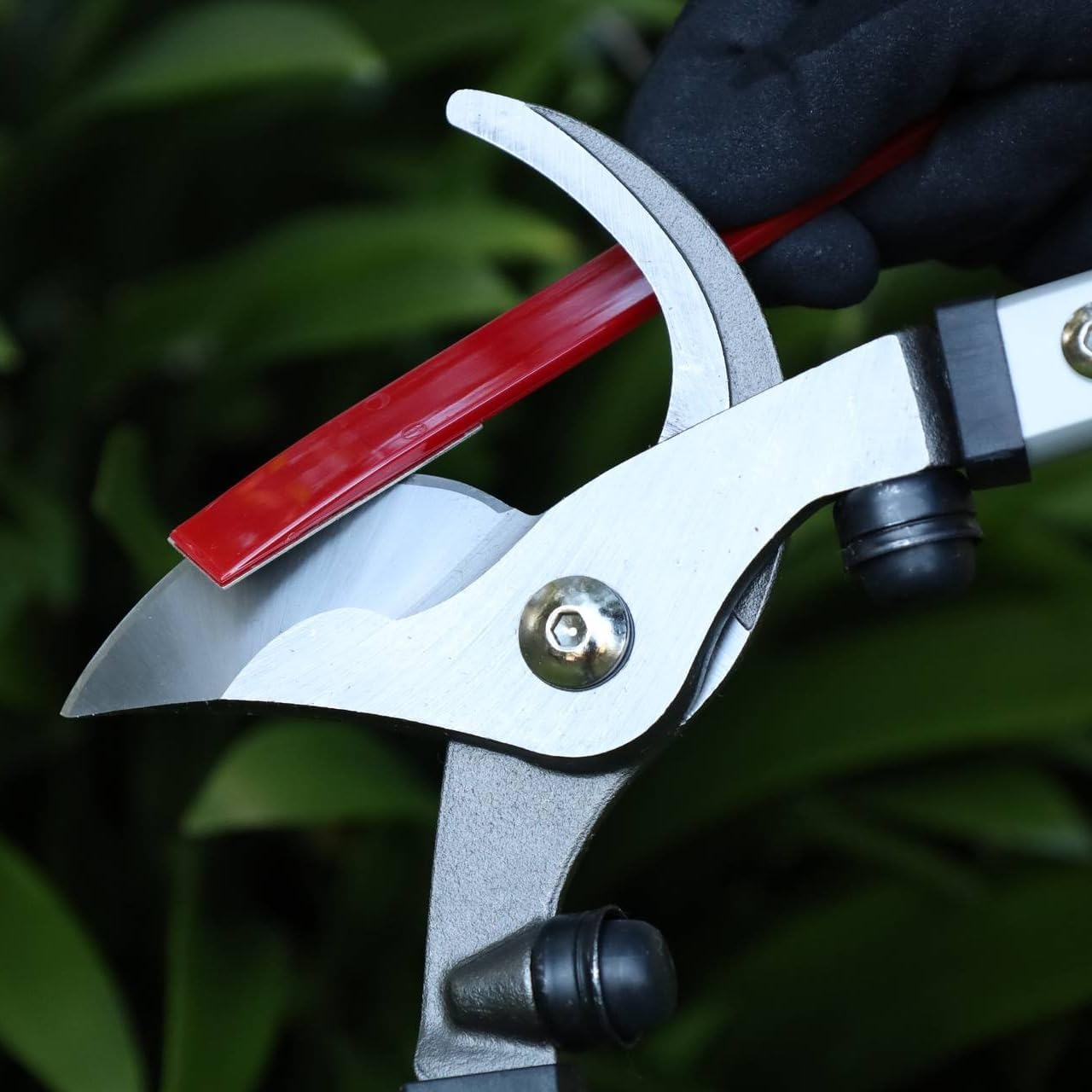 Darlac Fine Grade Diamond Sharpener - Great for Sharpening Pruners, Secateurs, Shears, Loppers, Knives and Other Blades image number 5