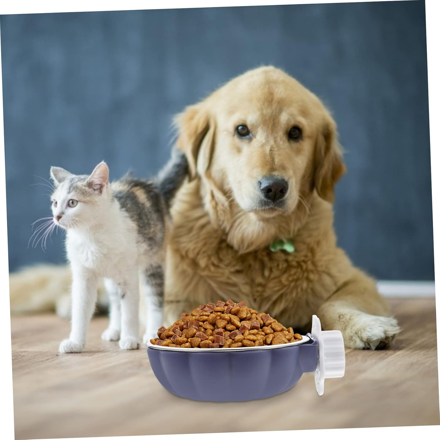 Weedsy 2Pcs Hanging Dog/Cat Bowl Dog/Cat Bowls Stainless Steel Pet Accessories Pet Food Container Pet Feed Bowl image number 5