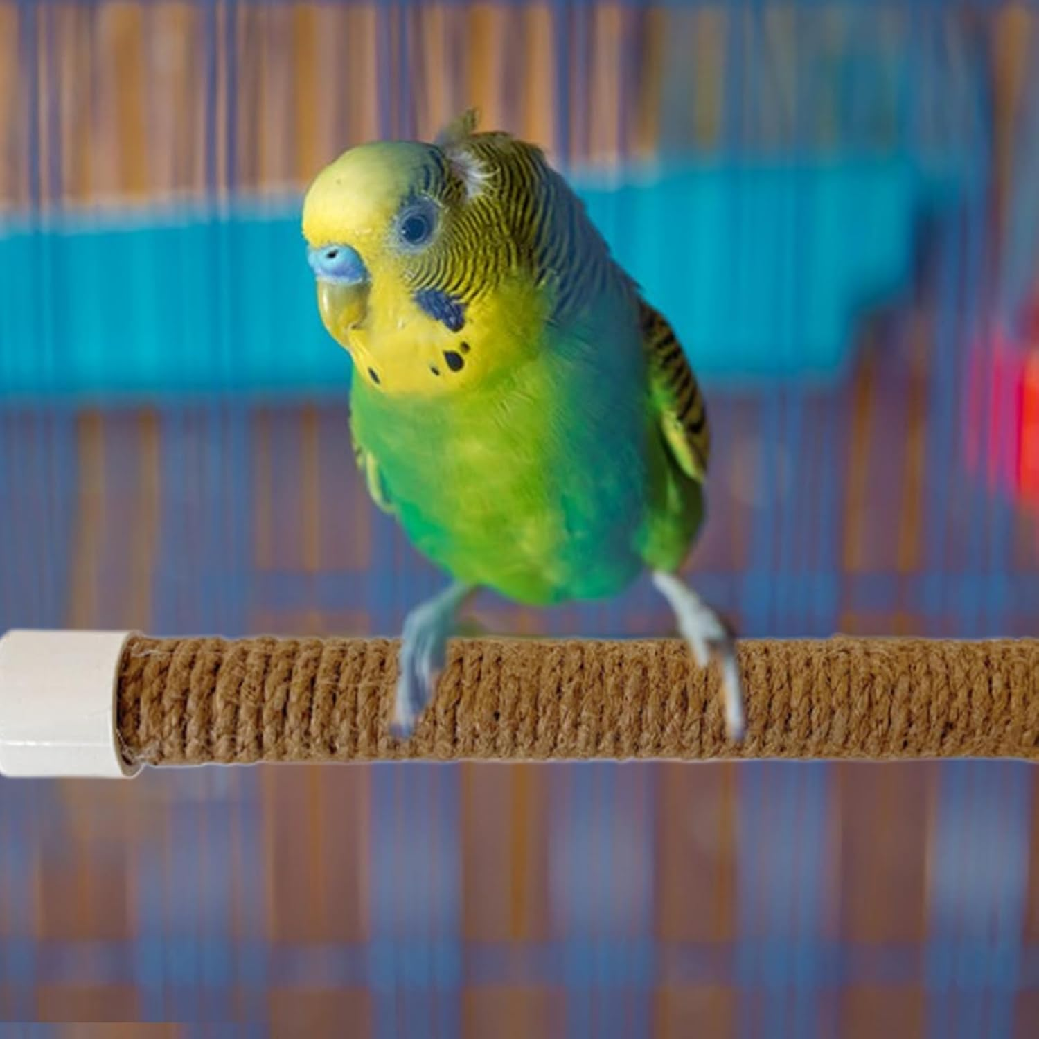 Furtryvl Parrot Shower Perch - Cockatoo Training Stand,Portable Cockatoo Macaw Bird Cage Accessory Suction Cup Perch Toy for Training Supplies Accessories image number 2