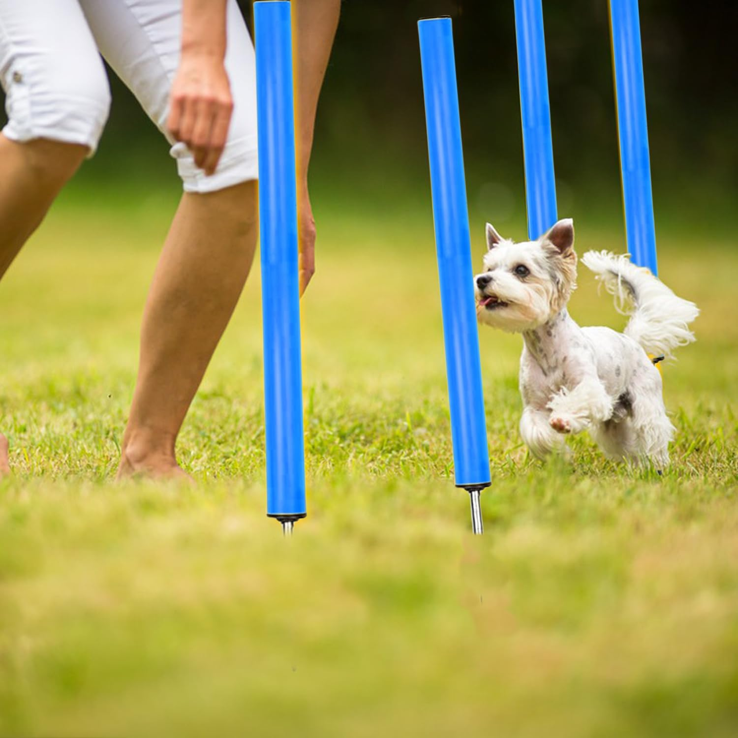Agility Ladder Training Poles Equipment, Soccer Training Equipment-20Ft Speed Ladder, 6 Agility Poles, 6 Soccer Cones for Training Football Basketball Rugby Training Equipment for Kids Youth Adults image number 2