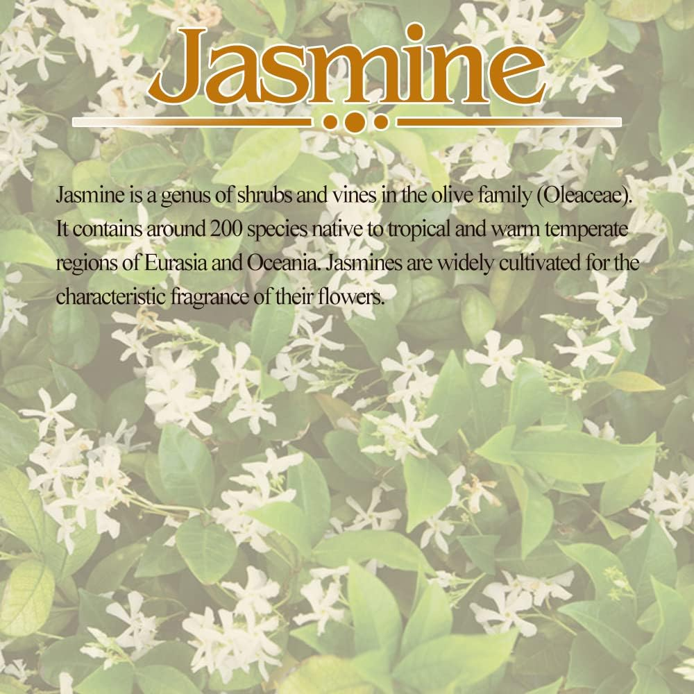 SBS Jasmine Hair Oil (Pack of 3) - Pure & Natural Hair Oil for All Hair Types. (100 Ml) image number 3
