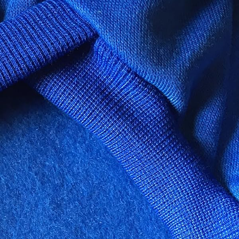 Izefia Dog Hoodie Security RDC Pet Clothing Dog Shirt Warmer Pullover Cotton Jacket Coat Small Dog Medium Dog Blue L