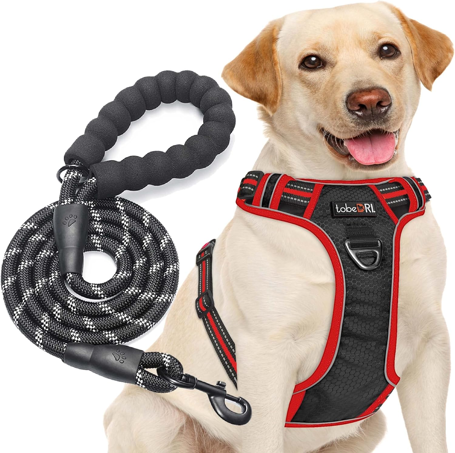 No Pull Dog Harness Adjustable Reflective Oxford Easy Control Medium Large Dog Harness with a Free Heavy Duty 5Ft Dog Leash (L (Neck: 18"-25.5", Chest: 24.5"-33"), Blue Harness+Leash)