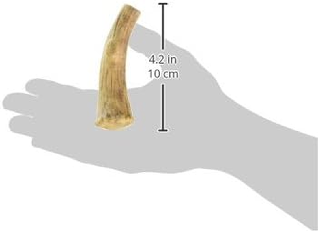 Nylabone Healthy Edibles Wild Venison Antler Dog Chew Treats (Pack of 2)