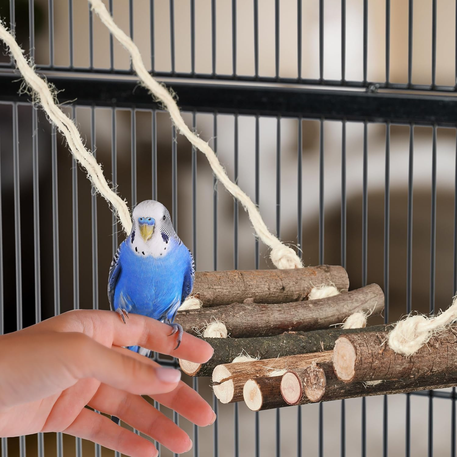 Relaxdays Bird Toy Wooden Ladder Coconut Shell Bird Cage Accessories for Budgie Canary Bird Nest Natural 1 Piece image number 4