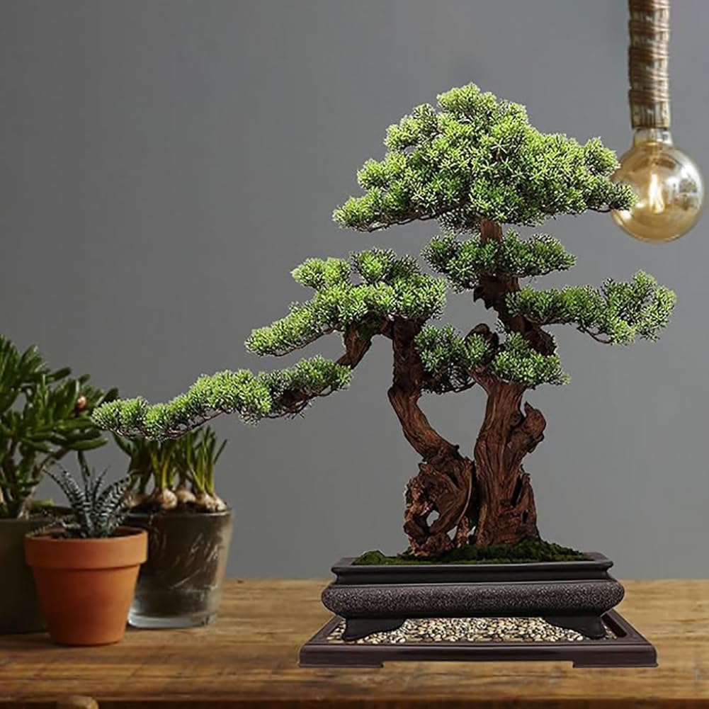 Square Plant Pot Saucer Drainage Tray, 2Pcs Bonsai Pots Humidity Plant Drip Trays, Square Plant Drainage Saucer Flower Pot Drip Trays, Square Saucers Plastic Plant Pot Water Tray image number 5