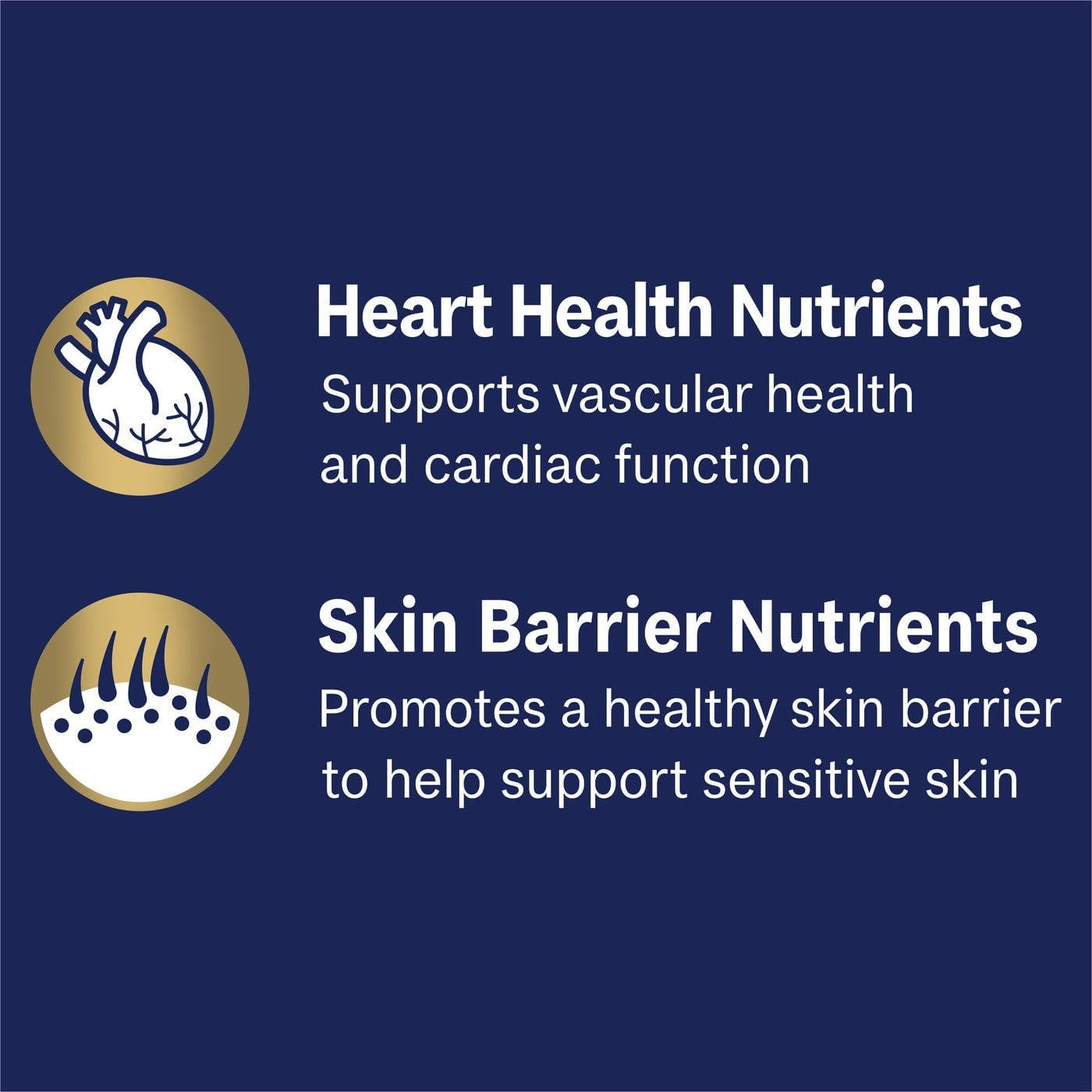 Advance Adult Oodles Salmon Wet Dog Food 100 G (Pack of 12) image number 4