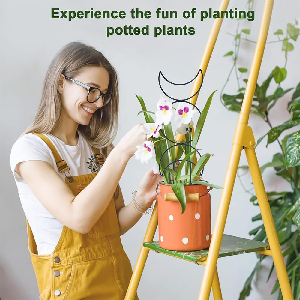 4 Pack Metal Plant Trellis for Climbing Plants, Small Garden Support for Indoor Potted Vines, Ivy & Flowers, Decorative Outdoor Vine Trellis with Different Patterns image number 2