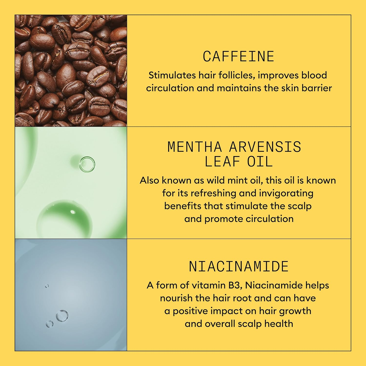 Nioxin System 1 Scalp plus Hair Thickening Treatment Serum for Natural Hair with Light Thinning, 100 Ml image number 4