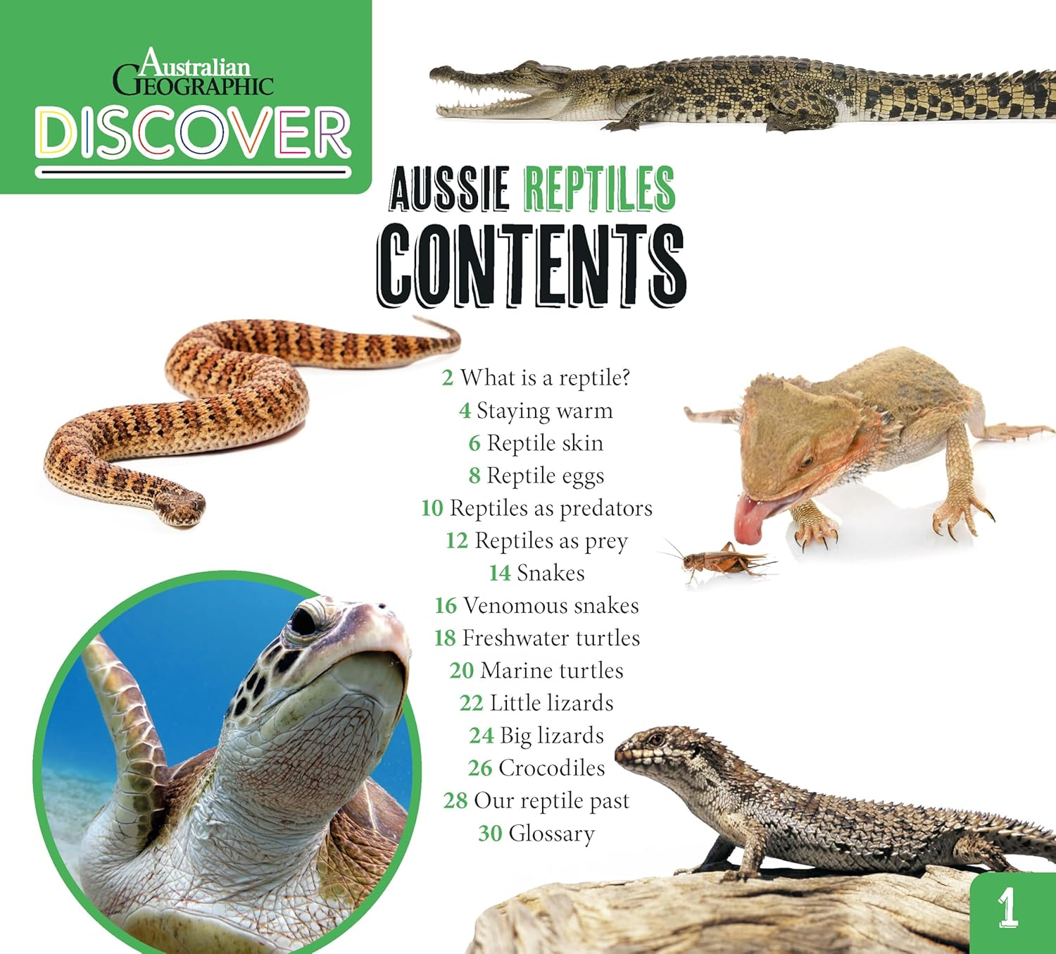 AG Discover: Aussie Reptiles image number 6