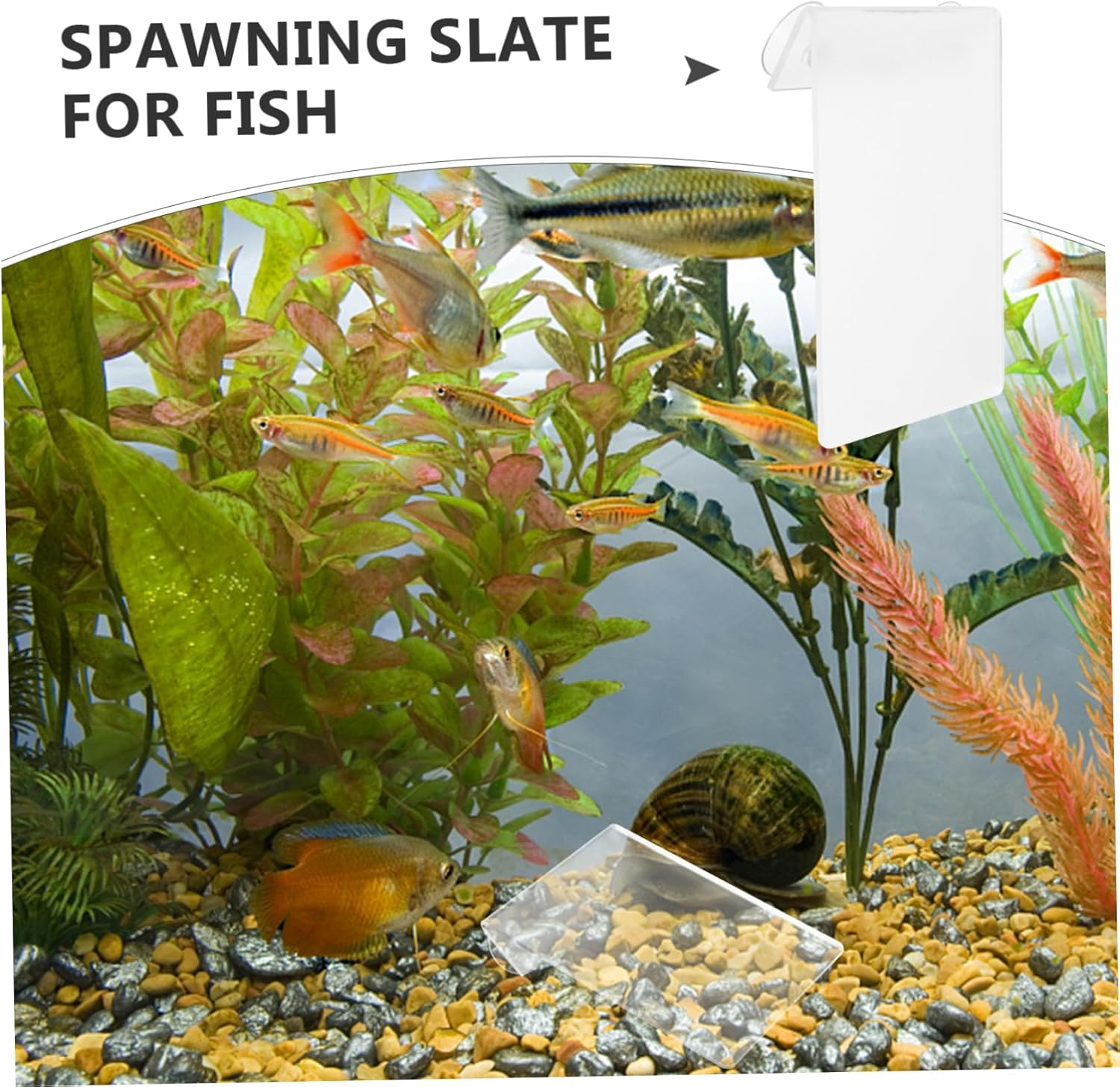 Yardwe Fish Breeding Safety Plate Aquarium Spawning Box Lightweight Acrylic Breeding Tank for Fish Tank Aquatic Pets