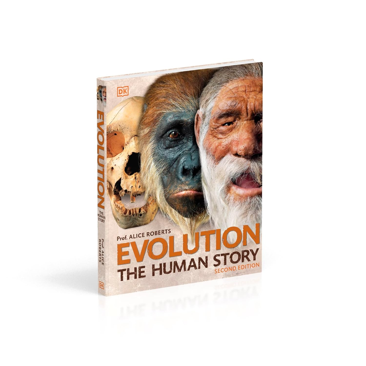 Evolution: the Human Story image number 6