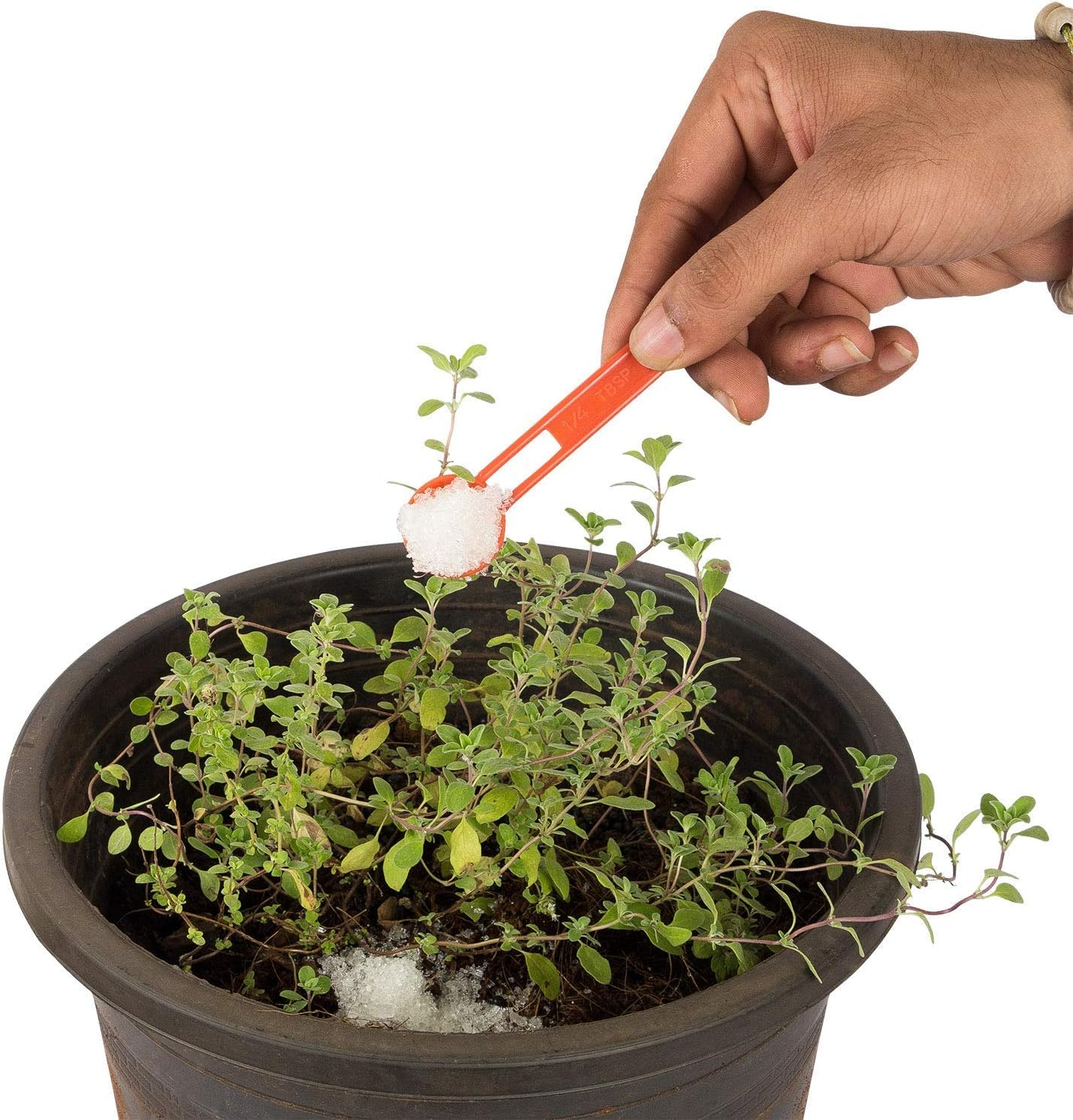 Creative Farmer Epsom Salt 2Kg Pure Salts (Magnesium Sulphate) for Horticultural/Aquarium Use image number 1