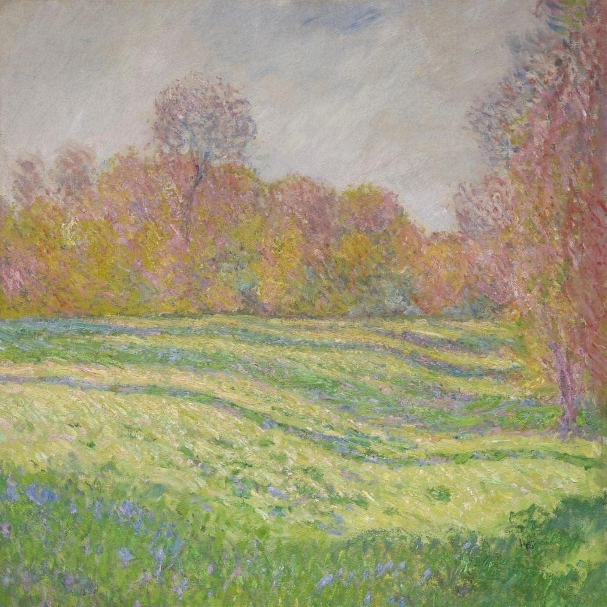 Sun outside My Window